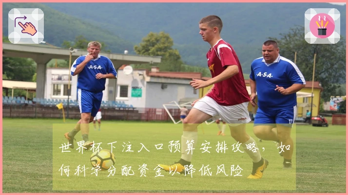 世界杯下注入口预算安排攻略，如何科学分配资金以降低风险