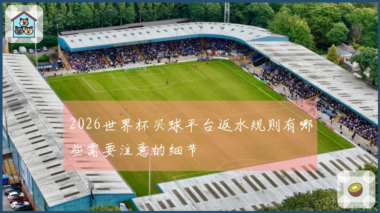 2026世界杯买球平台返水规则有哪些需要注意的细节