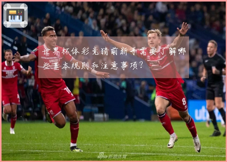 世界杯体彩竞猜前新手需要了解哪些基本规则和注意事项？