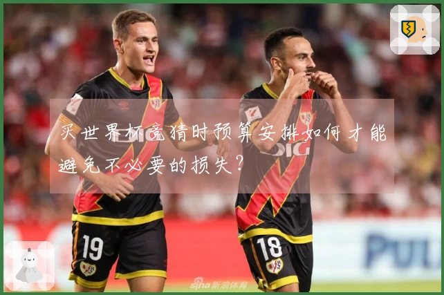 买世界杯竞猜时预算安排如何才能避免不必要的损失？