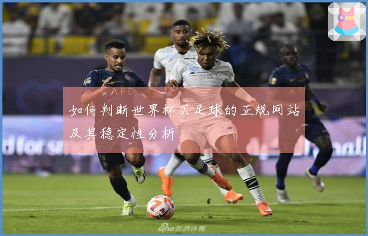 如何判断世界杯买足球的正规网站及其稳定性分析
