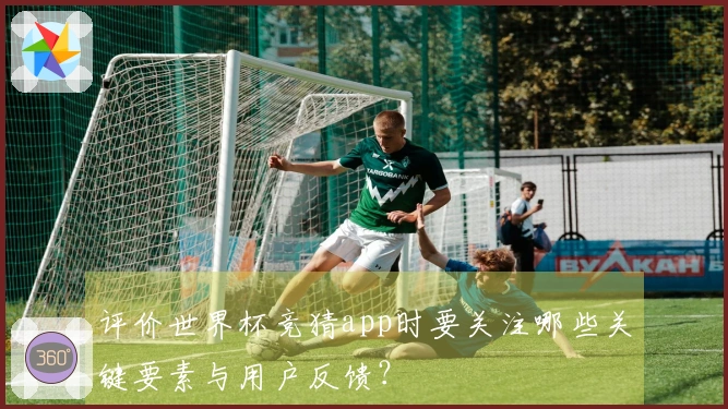 评价世界杯竞猜app时要关注哪些关键要素与用户反馈？