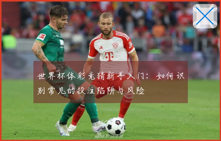 世界杯体彩竞猜新手入门：如何识别常见的投注陷阱与风险