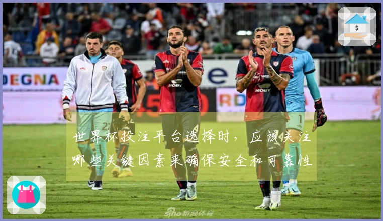 世界杯投注平台选择时，应该关注哪些关键因素来确保安全和可靠性？
