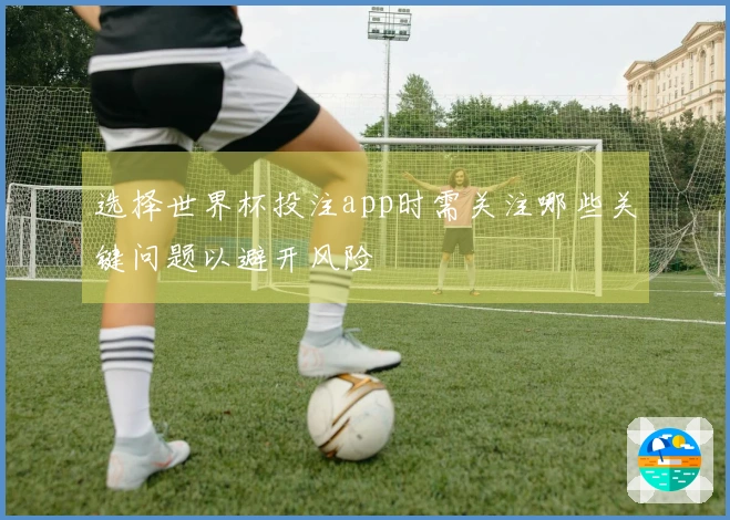 选择世界杯投注app时需关注哪些关键问题以避开风险