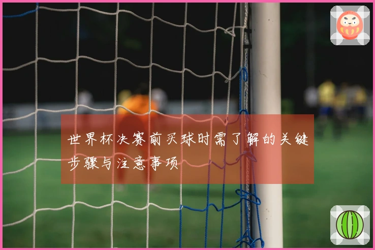 世界杯决赛前买球时需了解的关键步骤与注意事项