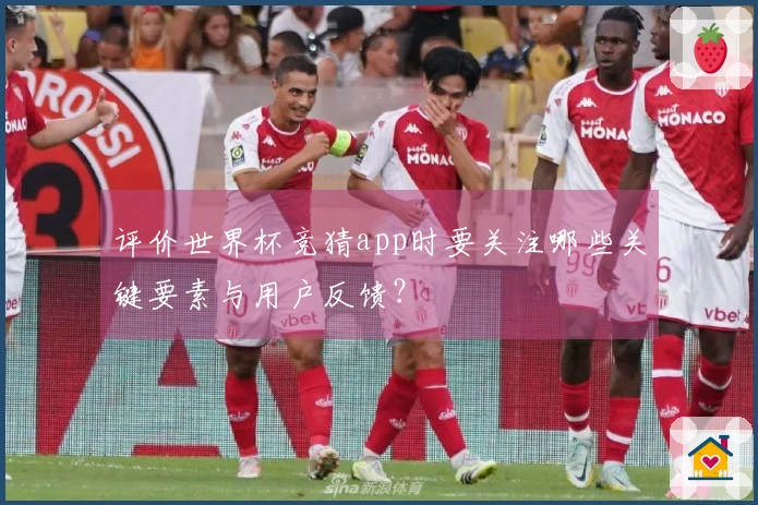 评价世界杯竞猜app时要关注哪些关键要素与用户反馈？