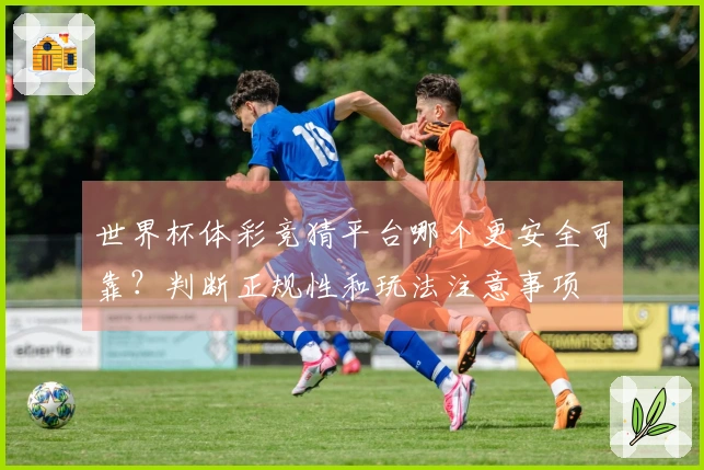 世界杯体彩竞猜平台哪个更安全可靠？判断正规性和玩法注意事项