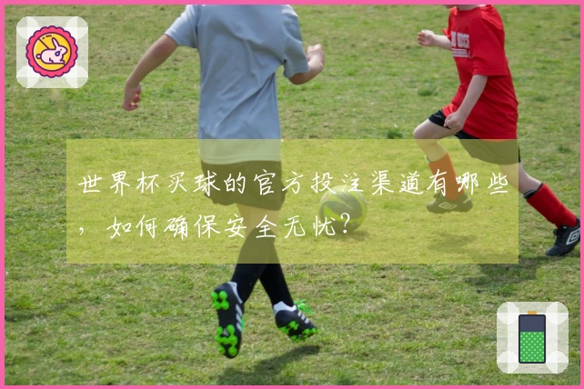 世界杯买球的官方投注渠道有哪些，如何确保安全无忧？