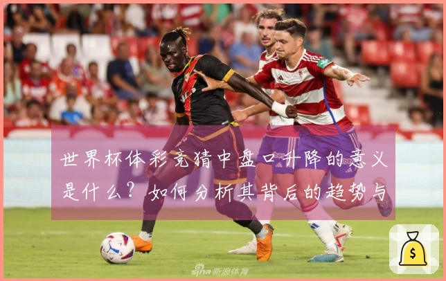 世界杯体彩竞猜中盘口升降的意义是什么？如何分析其背后的趋势与策略？