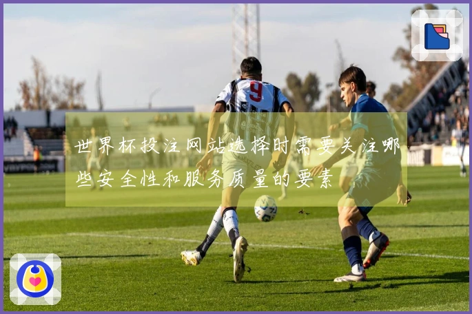 世界杯投注网站选择时需要关注哪些安全性和服务质量的要素