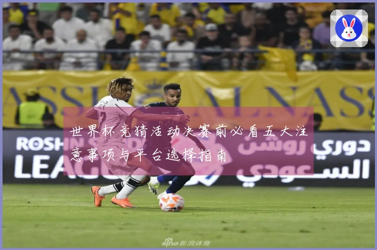 世界杯竞猜活动决赛前必看五大注意事项与平台选择指南