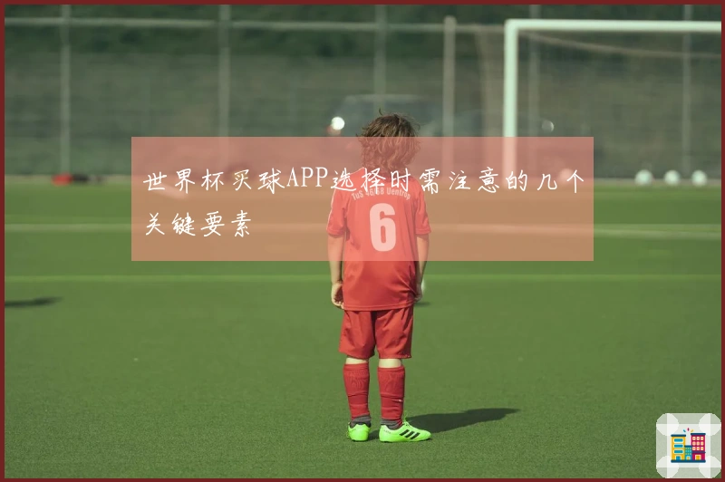 世界杯买球APP选择时需注意的几个关键要素