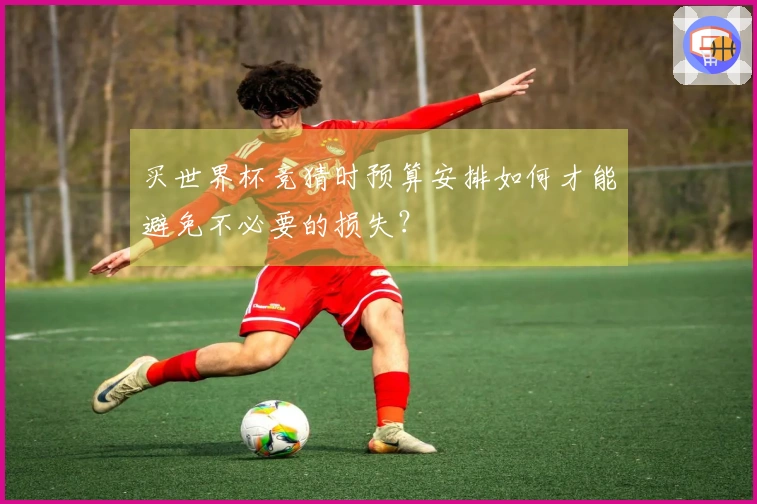 买世界杯竞猜时预算安排如何才能避免不必要的损失？