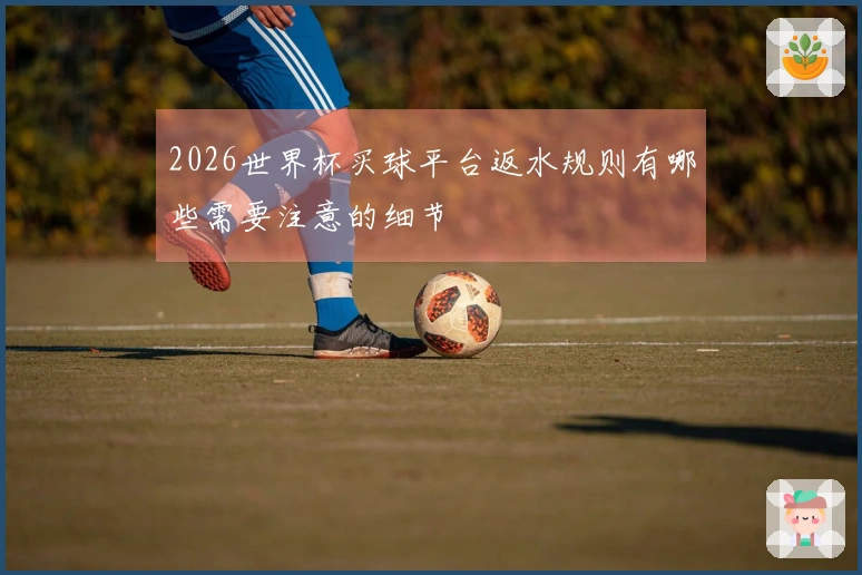 2026世界杯买球平台返水规则有哪些需要注意的细节