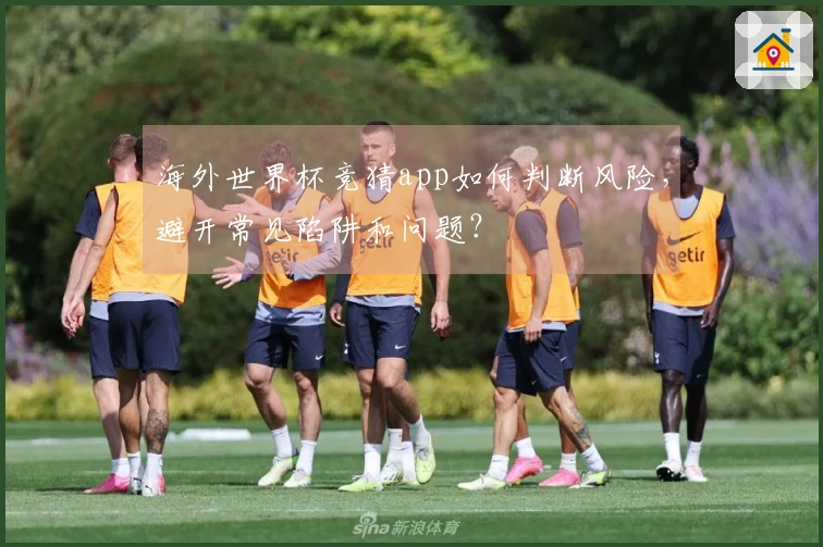 海外世界杯竞猜app如何判断风险，避开常见陷阱和问题？