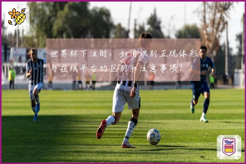 世界杯下注时，如何识别正规体彩与在线平台的区别和注意事项？