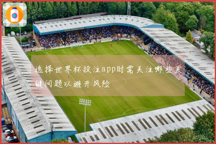 选择世界杯投注app时需关注哪些关键问题以避开风险